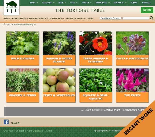 Updates and Enhancements for the Tortoise Table Website