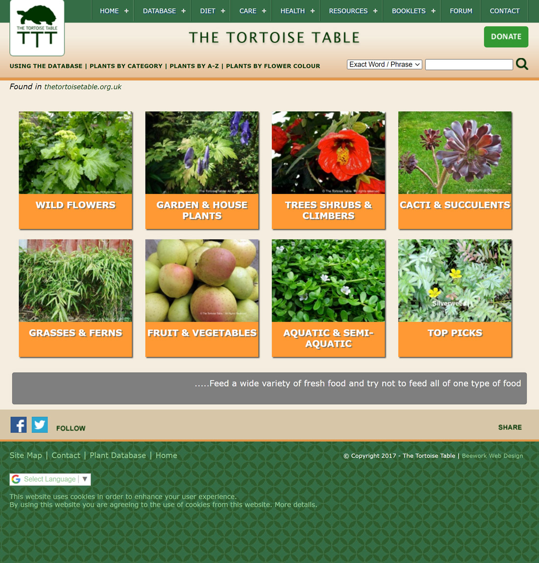Tortoise Table Charity Web Design